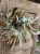 IMG_7864.jpeg