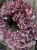 IMG_7866.jpeg