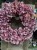 IMG_7867.jpeg