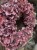 IMG_7869.jpeg