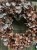 IMG_7871.jpeg