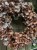 IMG_7873.jpeg