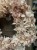 IMG_7874.jpeg