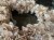 IMG_7877.jpeg