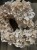 IMG_7878.jpeg