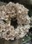 IMG_7879.jpeg