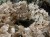 IMG_7880.jpeg