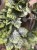 IMG_7892.jpeg