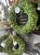 IMG_7893.jpeg