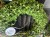 IMG_7894.jpeg
