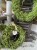 IMG_7896.jpeg