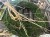 IMG_7900.jpeg
