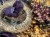 IMG_7906.jpeg