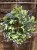 IMG_7882.jpeg