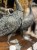 IMG_7982.jpeg