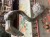 IMG_7985.jpeg