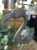 IMG_7988.jpeg