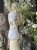 IMG_8012.jpeg