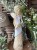 IMG_8030.jpeg
