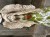 IMG_8051.jpeg