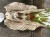 IMG_8053.jpeg