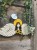 IMG_8073.jpeg