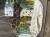 IMG_8080.jpeg