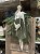 IMG_8083.jpeg